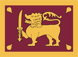 [ai] A flag featuring a yellow lion holding a sword, set against a maroon background with decorative patterns. The lion is positioned to the left, showcasing its mane and fierce stance.